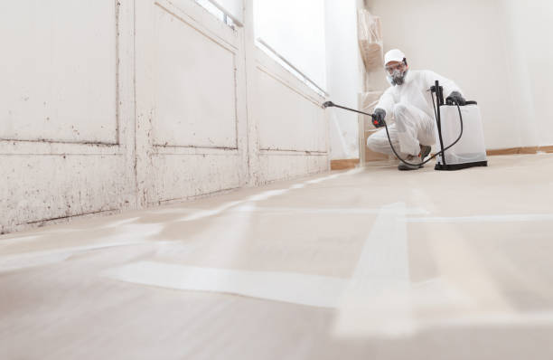 24/7 Emergency Commercial Mold Remediation experts in Garner, NC