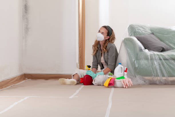 Reliable Commercial Mold Remediation contractor in Garner, NC by WQB Mold Removal