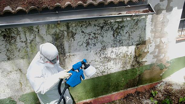 Top rated local Commercial Mold Remediation specialists in Garner, NC